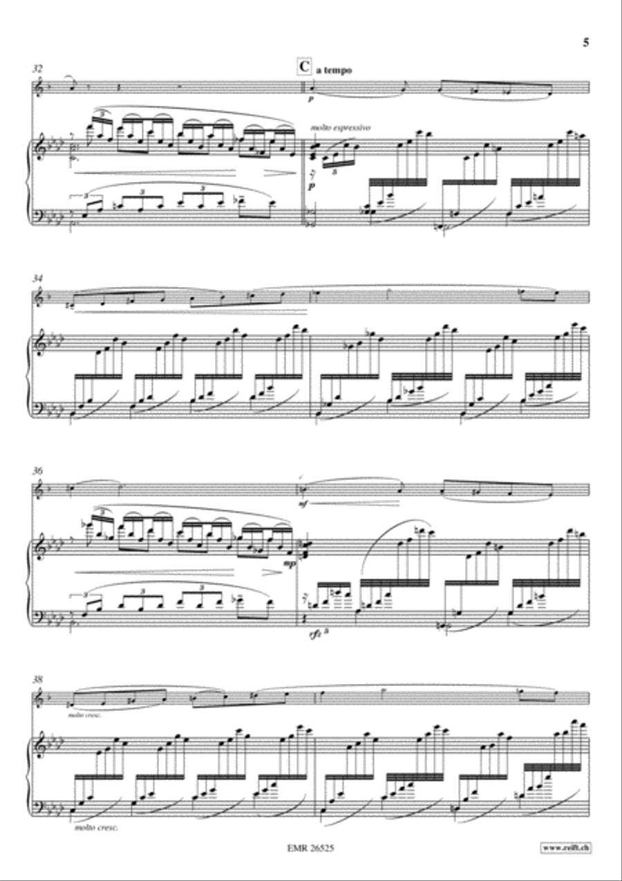 Konzert No. 1 c-moll Horn scores gallery preview page 5