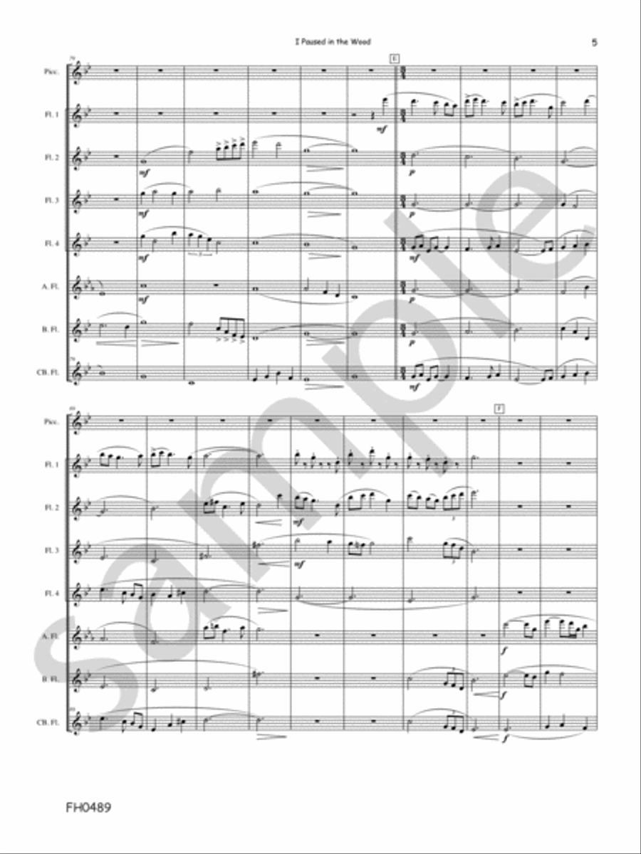 I Paused In The Wood I Paused In The Wood Flute Quartet scores gallery preview page 6