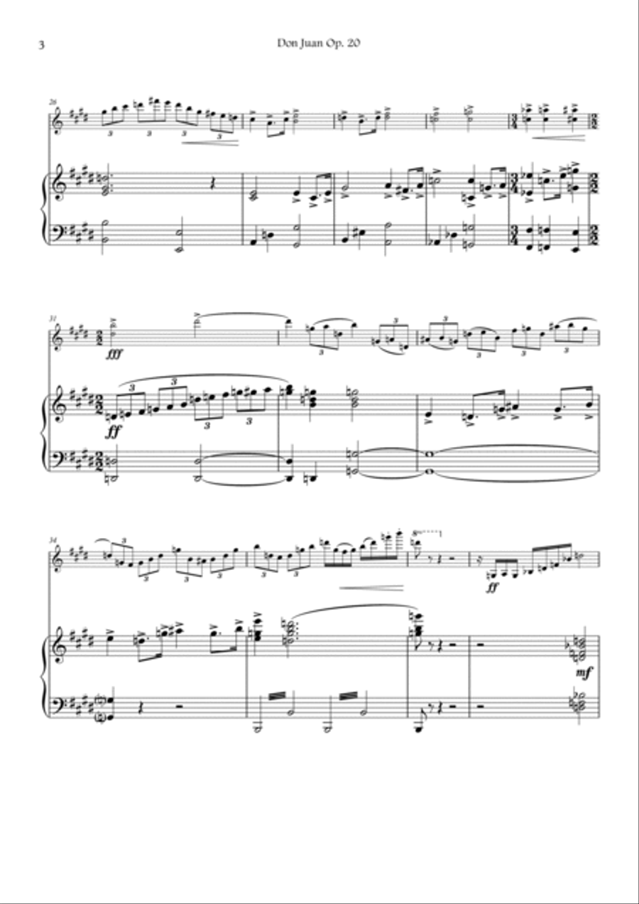 Violin I EXCERPT - Strauss - Don Juan op.20 (with PIANO) Violin Solo scores gallery preview page 3
