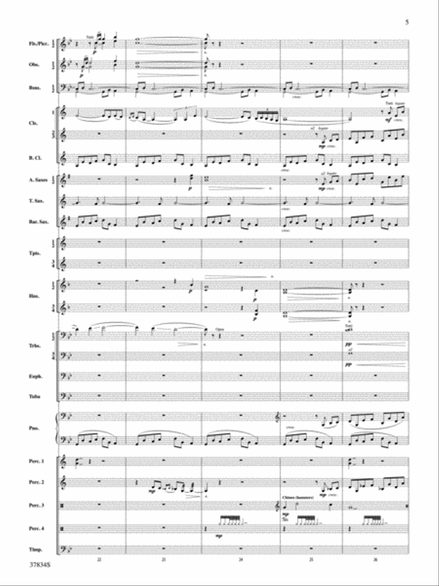 Poor Wayfaring Stranger: Score Concert Band scores gallery preview page 5