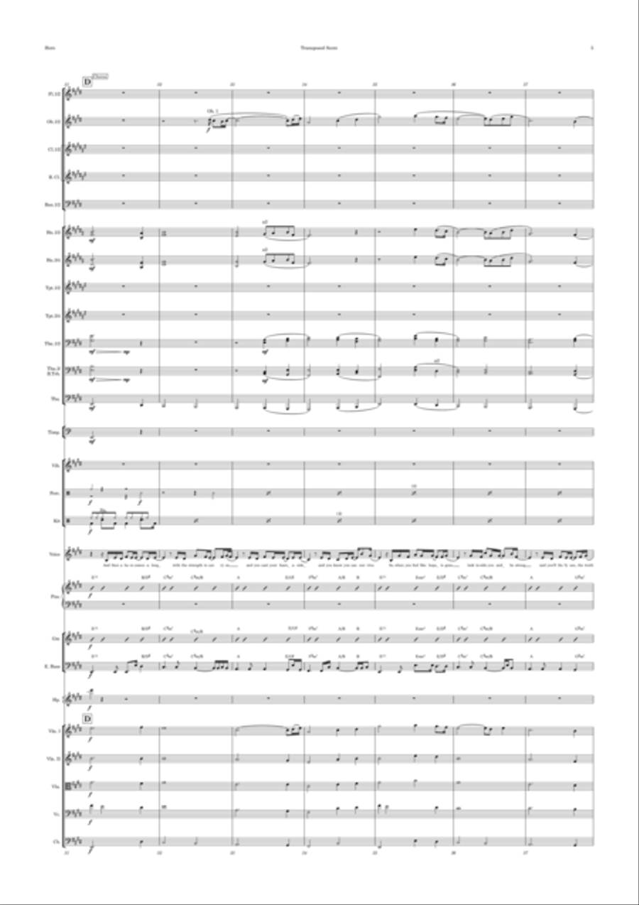 Hero Full Orchestra scores gallery preview page 5