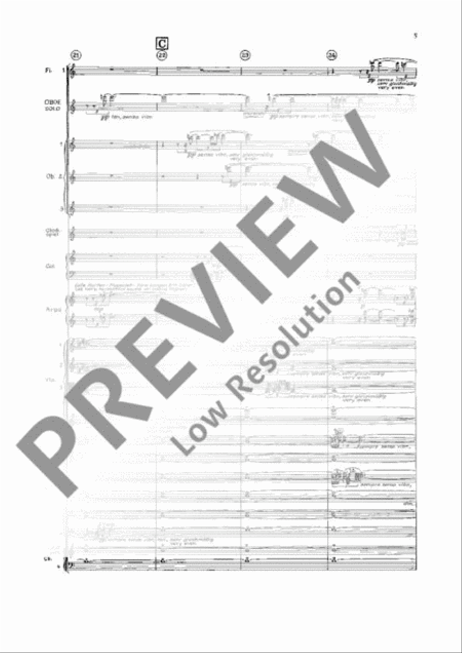 Double Concerto Orchestra scores gallery preview page 14