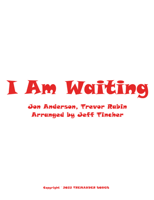 Book cover for I Am Waiting