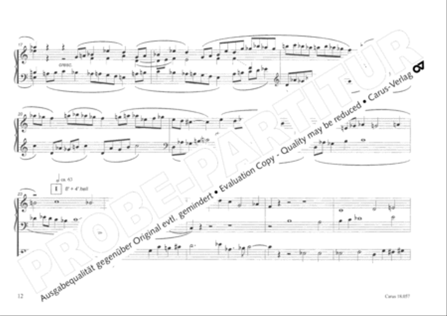 Toccata and Fugue Organ scores gallery preview page 13
