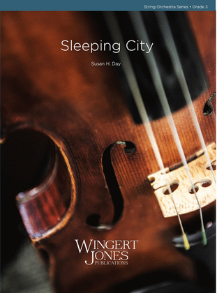 Book cover for Sleeping City