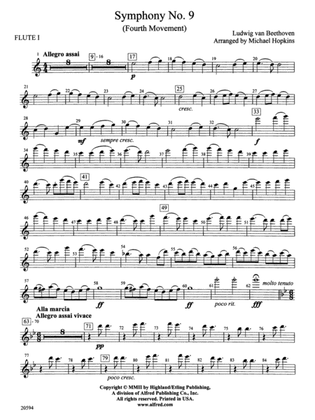 Symphony No. 9 (Fourth Movement): Flute