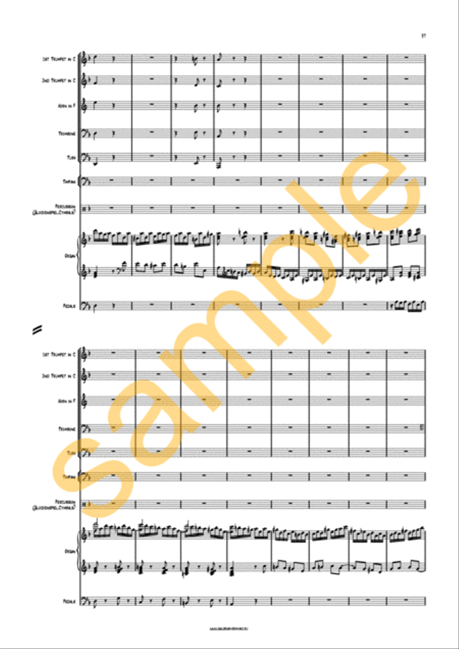 Symphony no. 1 opus 42 for Organ and Orchestra Organ scores gallery preview page 14
