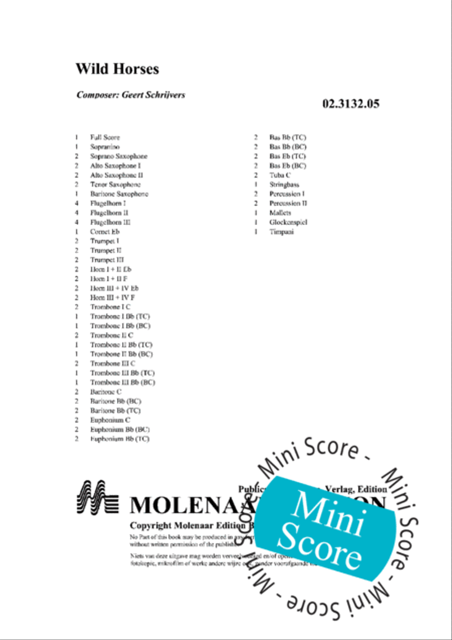 Wild Horses Fanfare Band scores gallery preview page 4