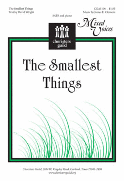 The Smallest Things image number null