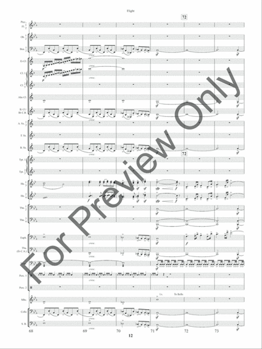 Flight (Score) Concert Band scores gallery preview page 15