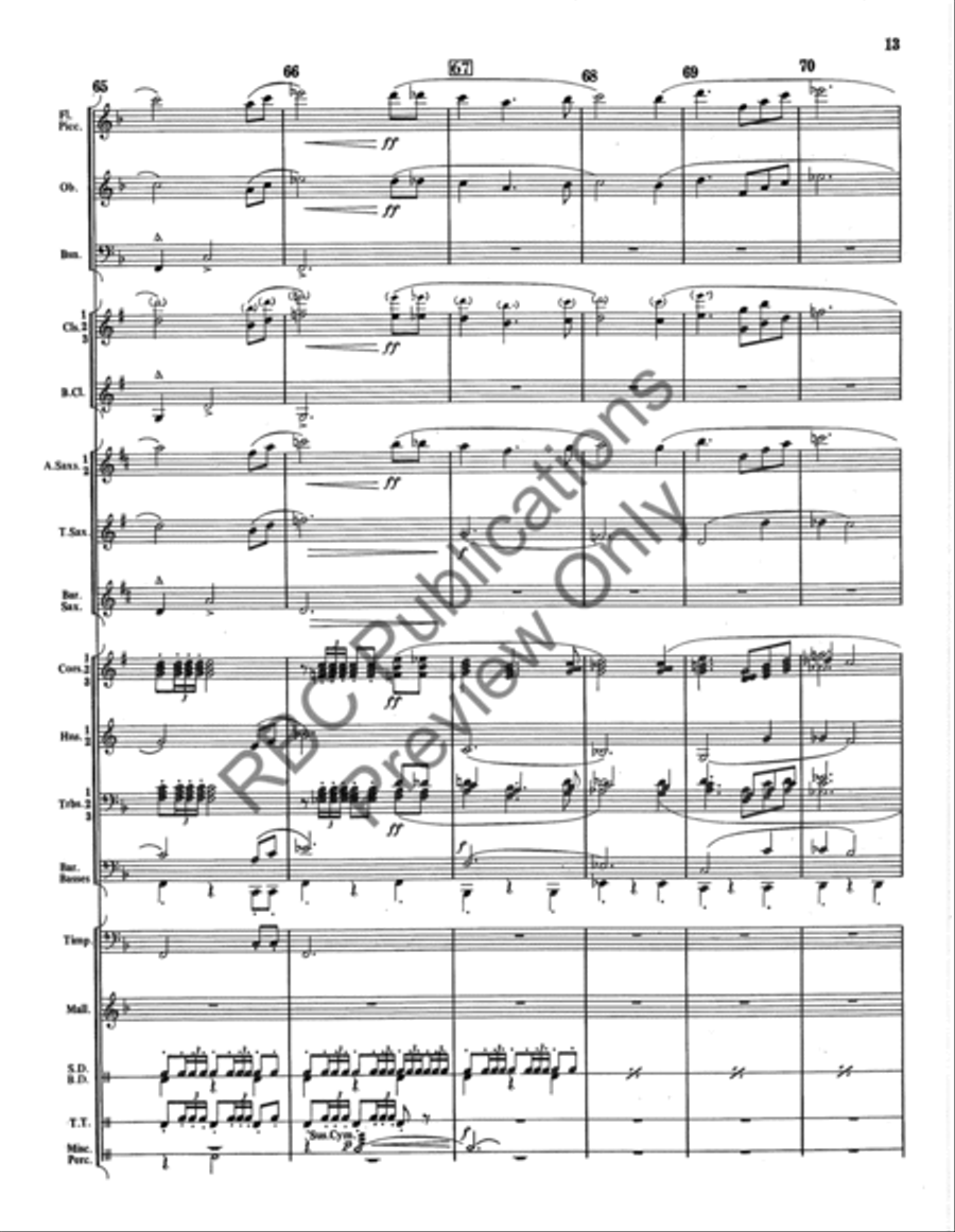 Danza Tambor Bolero Concert Band scores gallery preview page 14