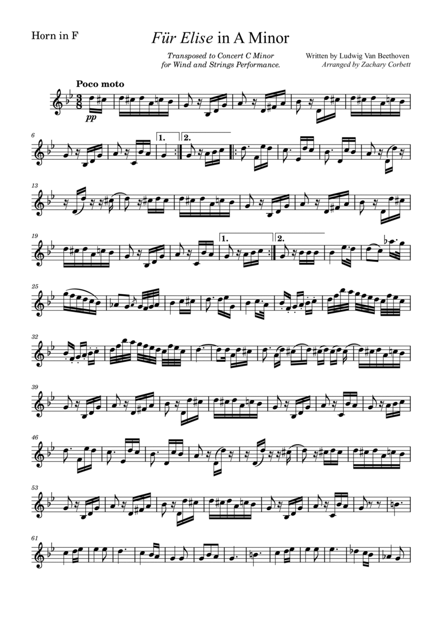 Fur Elise Horn scores gallery preview page 1