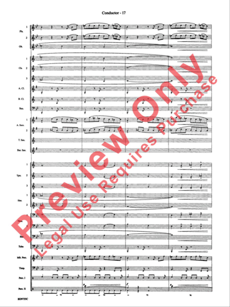 The Maelstrom The Maelstrom Concert Band scores gallery preview page 20