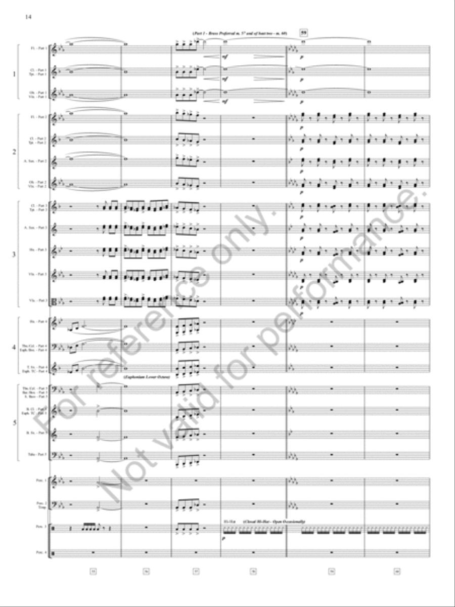 Danza Sonora Concert Band scores gallery preview page 15