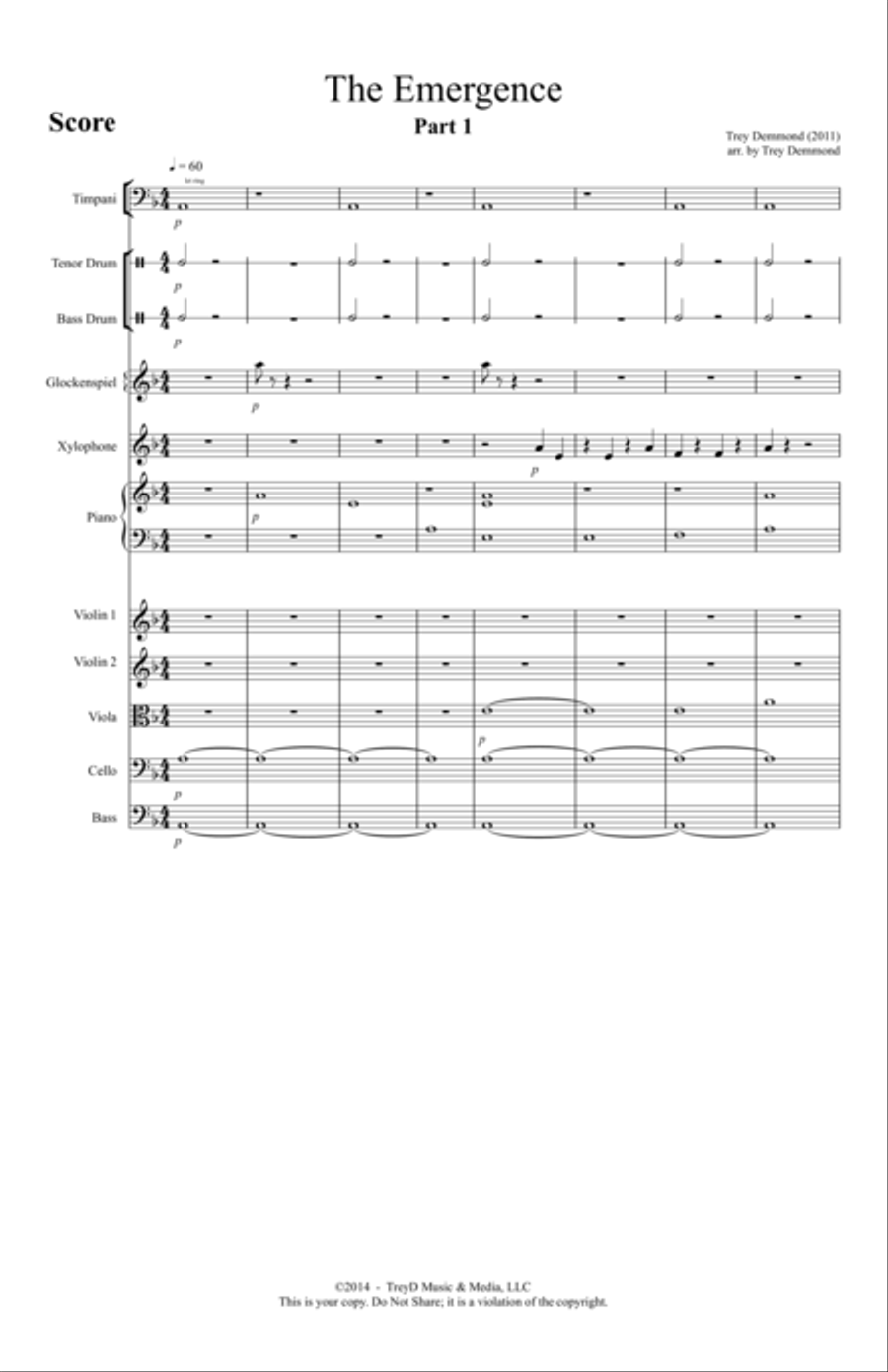 The Emergence, Part 1 Chamber Orchestra scores gallery preview page 1