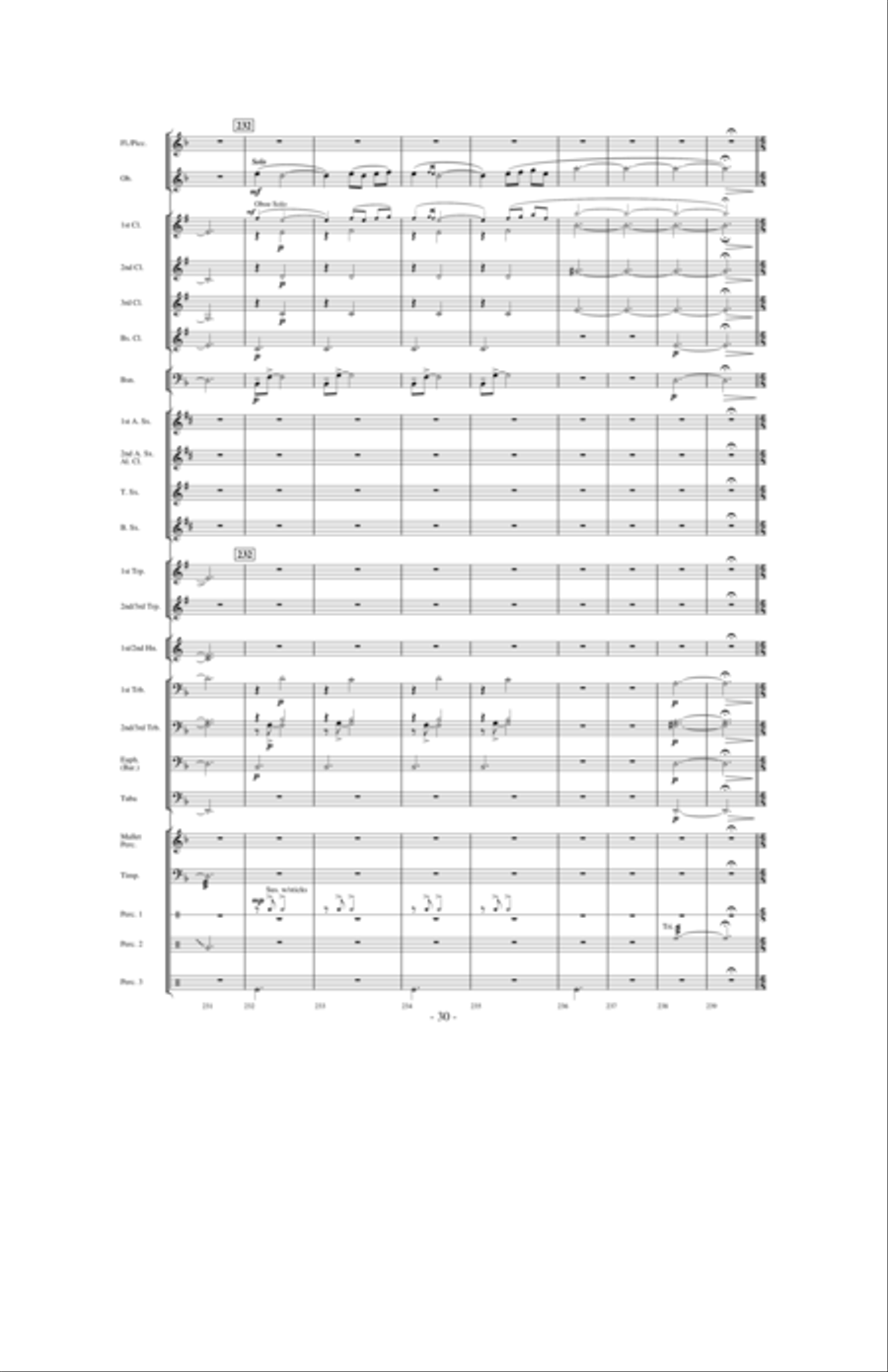 Dragons Fly on the Winds of Time Concert Band scores gallery preview page 29