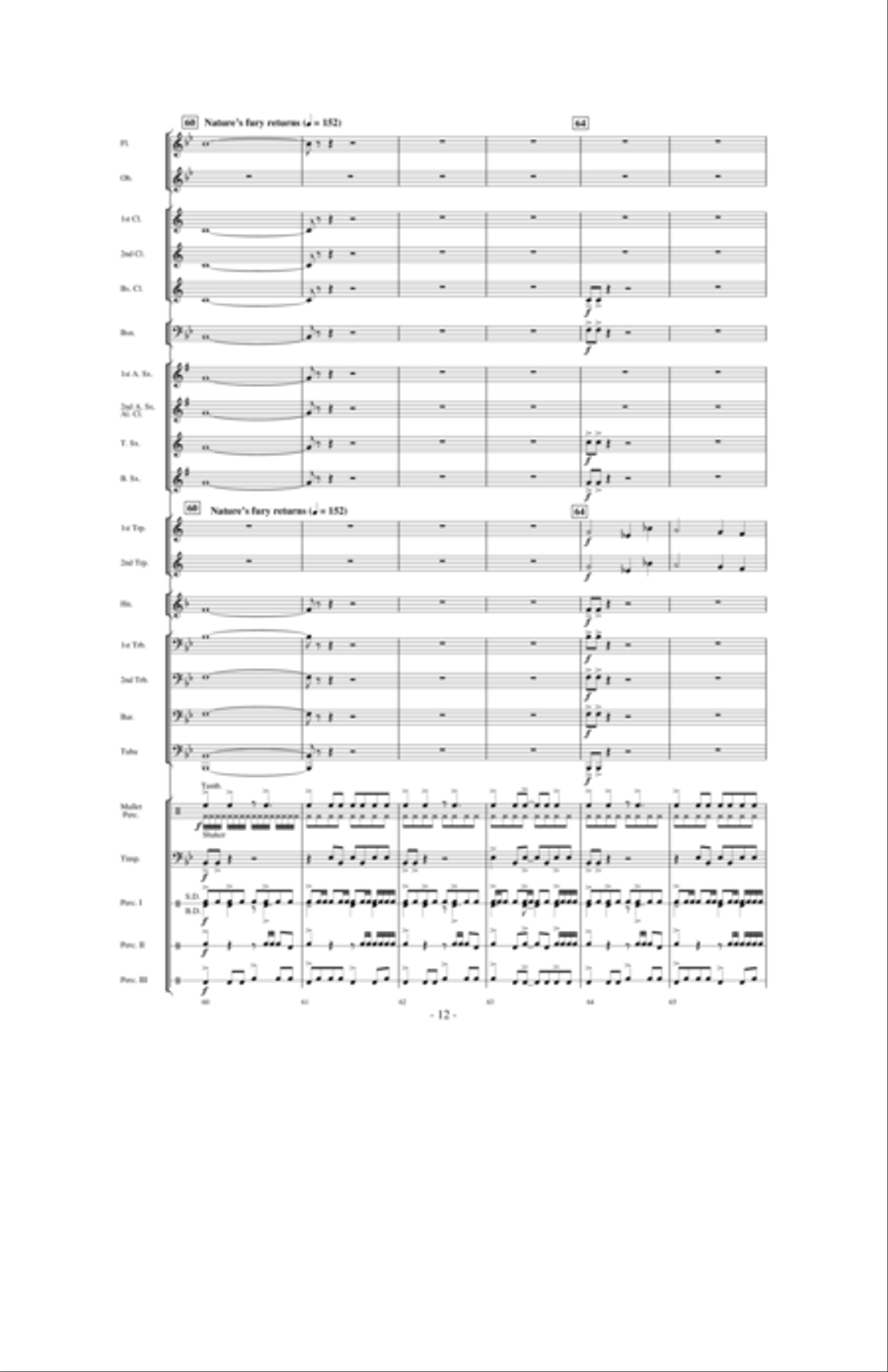 Stormy Seas Concert Band scores gallery preview page 11