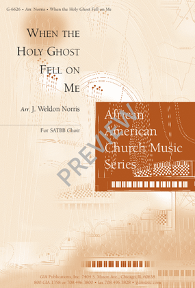 Book cover for When the Holy Ghost Fell on Me