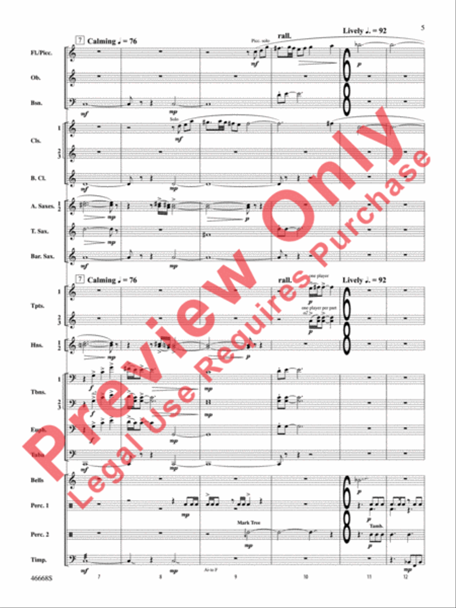 Skydance Concert Band scores gallery preview page 6