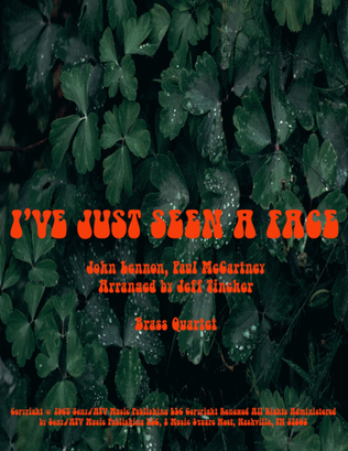 Book cover for I've Just Seen A Face