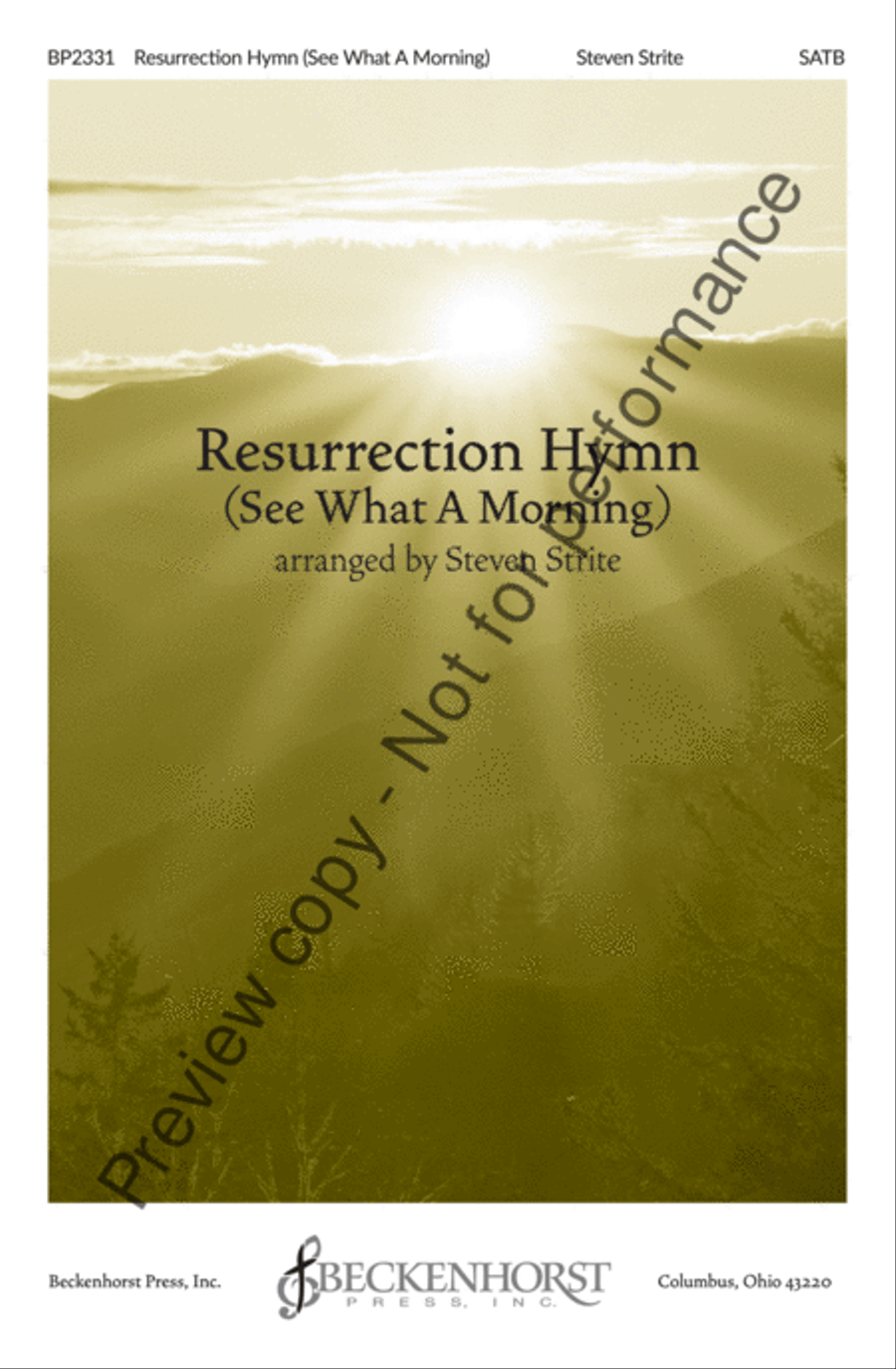 Resurrection Hymn (See What A Morning) 4-Part scores gallery preview page 2