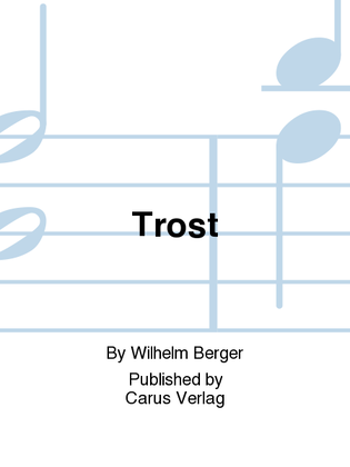 Book cover for Trost
