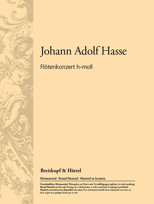 Book cover for Flute Concerto in B minor