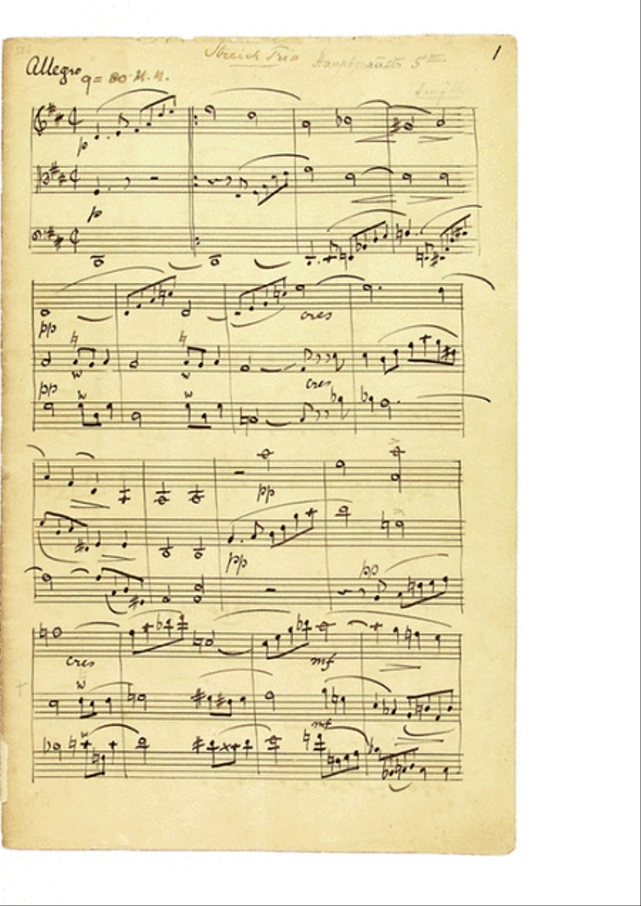 Streich Trio D-Dur op. 6 Streich Trio D-Dur op. 6 String Trio scores gallery preview page 2