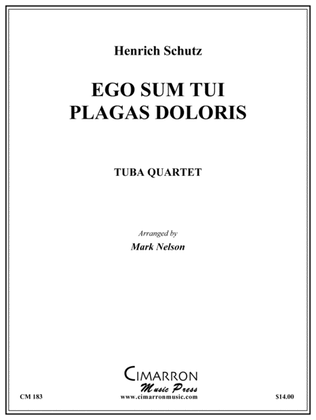 Book cover for Ego Sum Tui Plagas Doloris