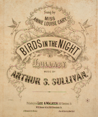 Book cover for Birds in the Night. A Lullaby