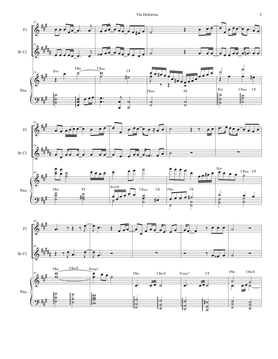 Via Dolorosa Woodwind Duet scores gallery preview page 3