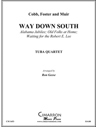 Book cover for Way Down South