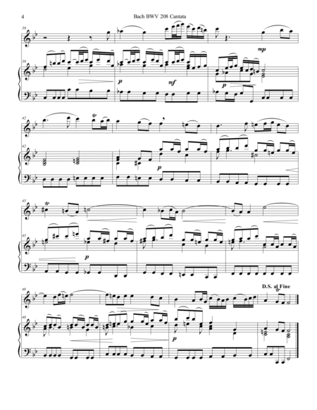 Bach BWV 208 Aria May Sheep Safely Graze Flute or Alto Flute Solo