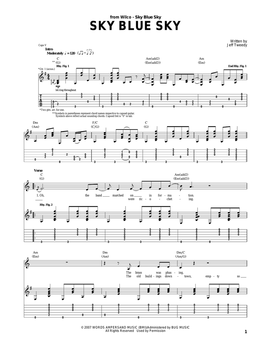Sky Blue Sky Acoustic Guitar scores gallery preview page 1