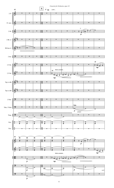 Concerto for Orchestra, opus 111 (2005, rev. 2010) 