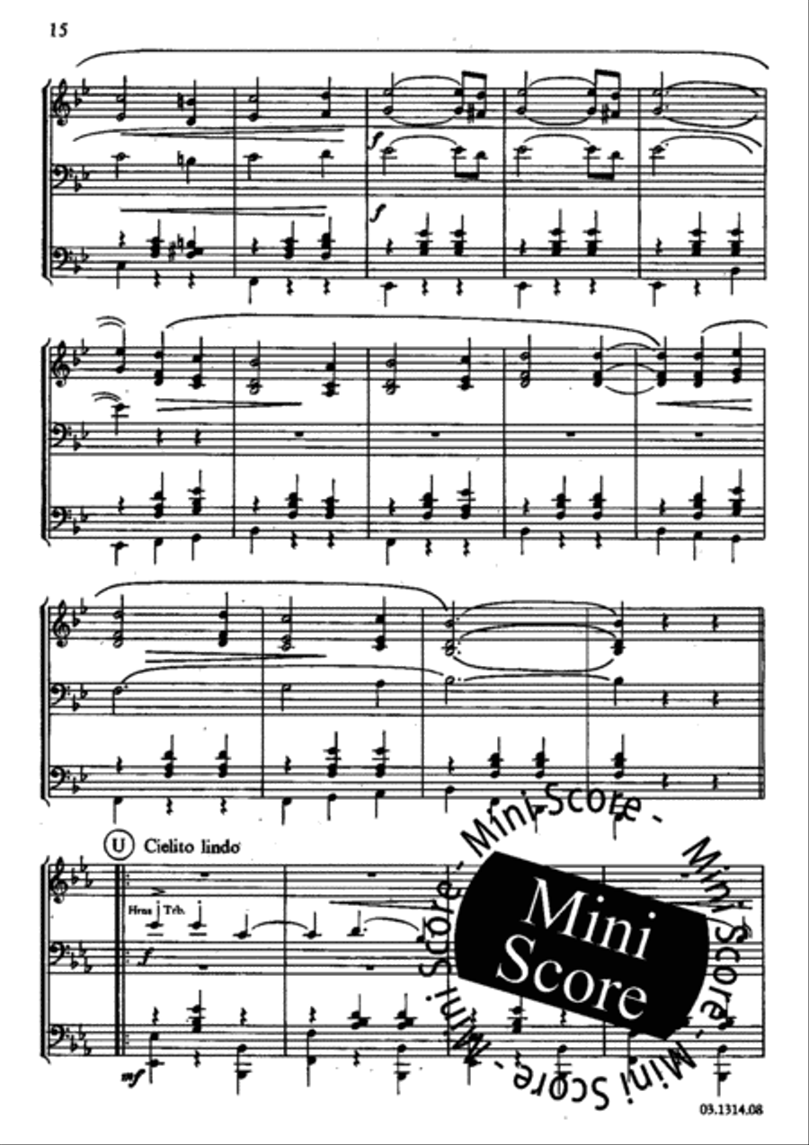 Danzas Folcloristicas Danzas Folcloristicas Concert Band scores gallery preview page 18