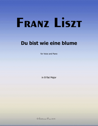 Book cover for Du bist wie eine blume, by Liszt, S.287, in B flat Major