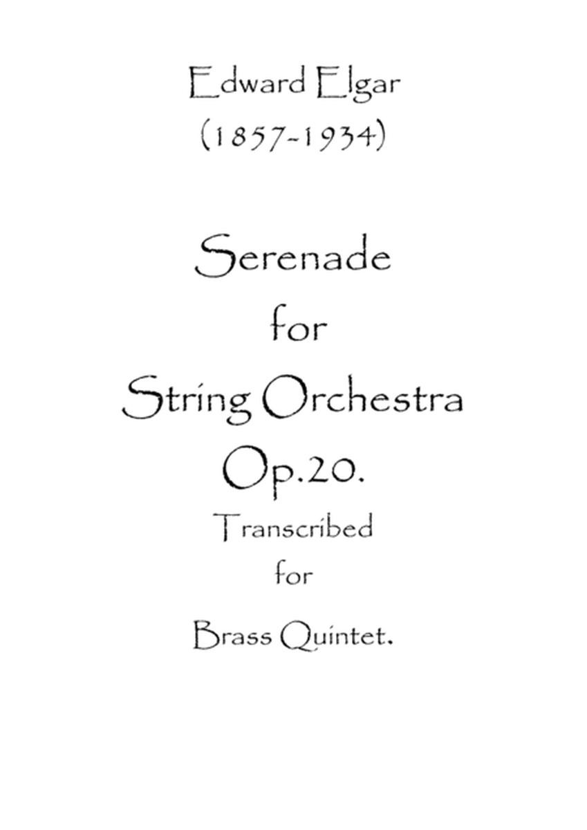 Serenade for String Orchestra Op.20 image number null