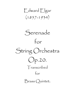 Serenade for String Orchestra Op.20
