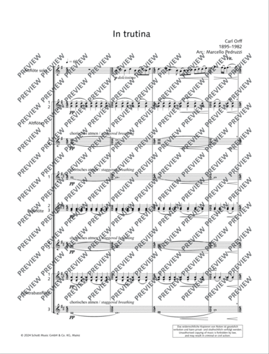 In trutina Flute Choir scores gallery preview page 6