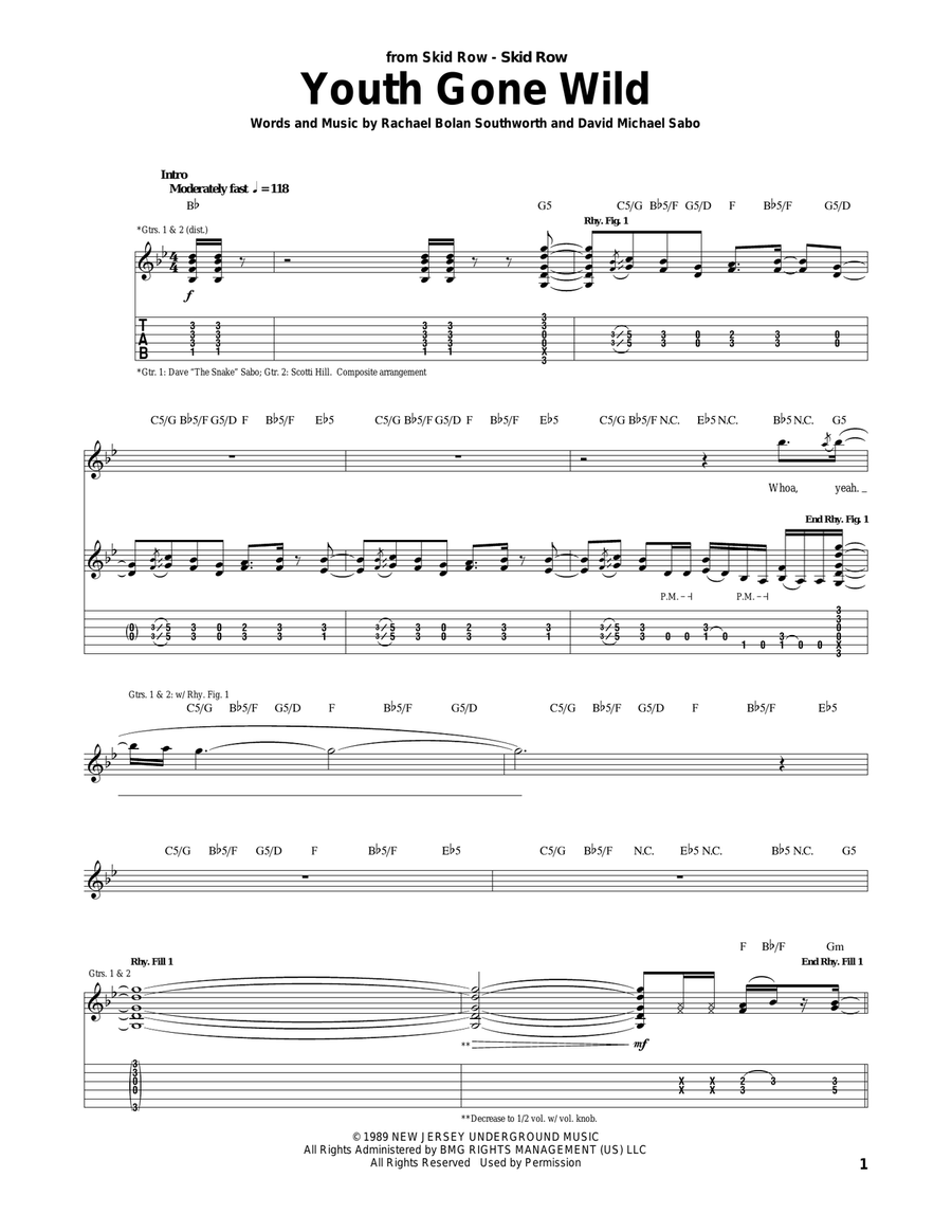 Youth Gone Wild Youth Gone Wild Acoustic Guitar scores gallery preview page 1