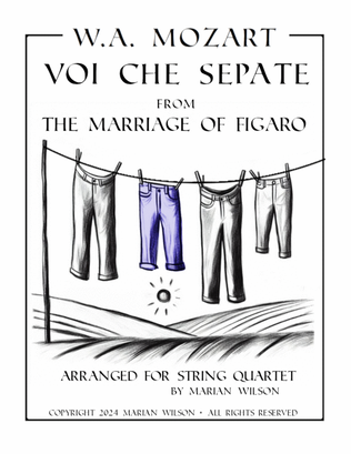 Mozart: Voi che sepate from The Marriage of Figaro