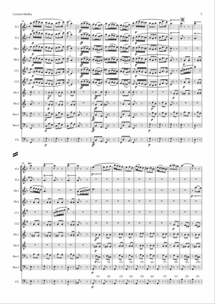 Bizet: A Carmen Medley - symphonic wind Woodwind Quintet scores gallery preview page 5