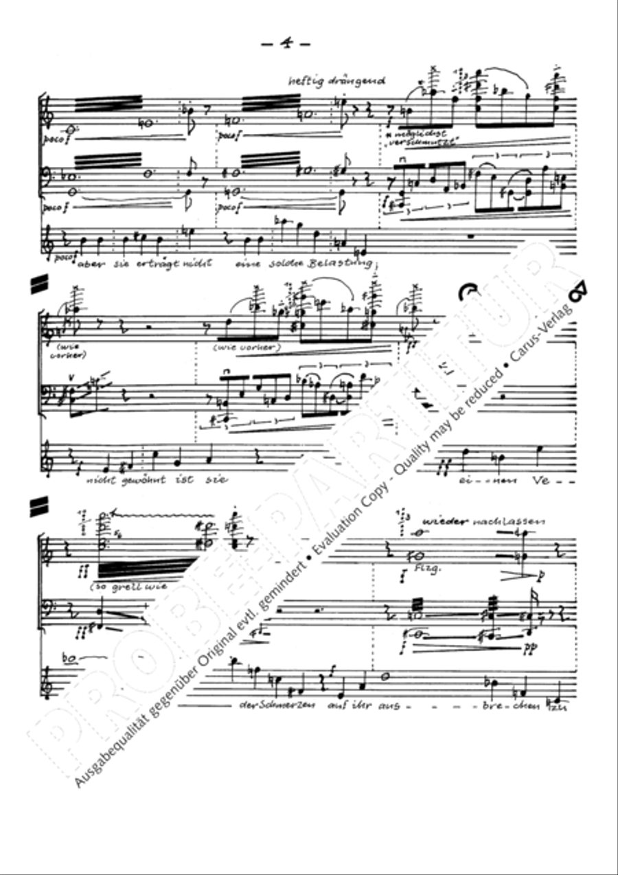 Todesblumen Flute scores gallery preview page 7