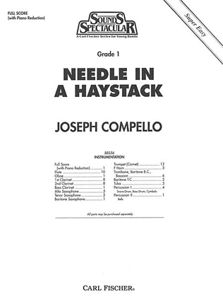 Needle in A Haystack