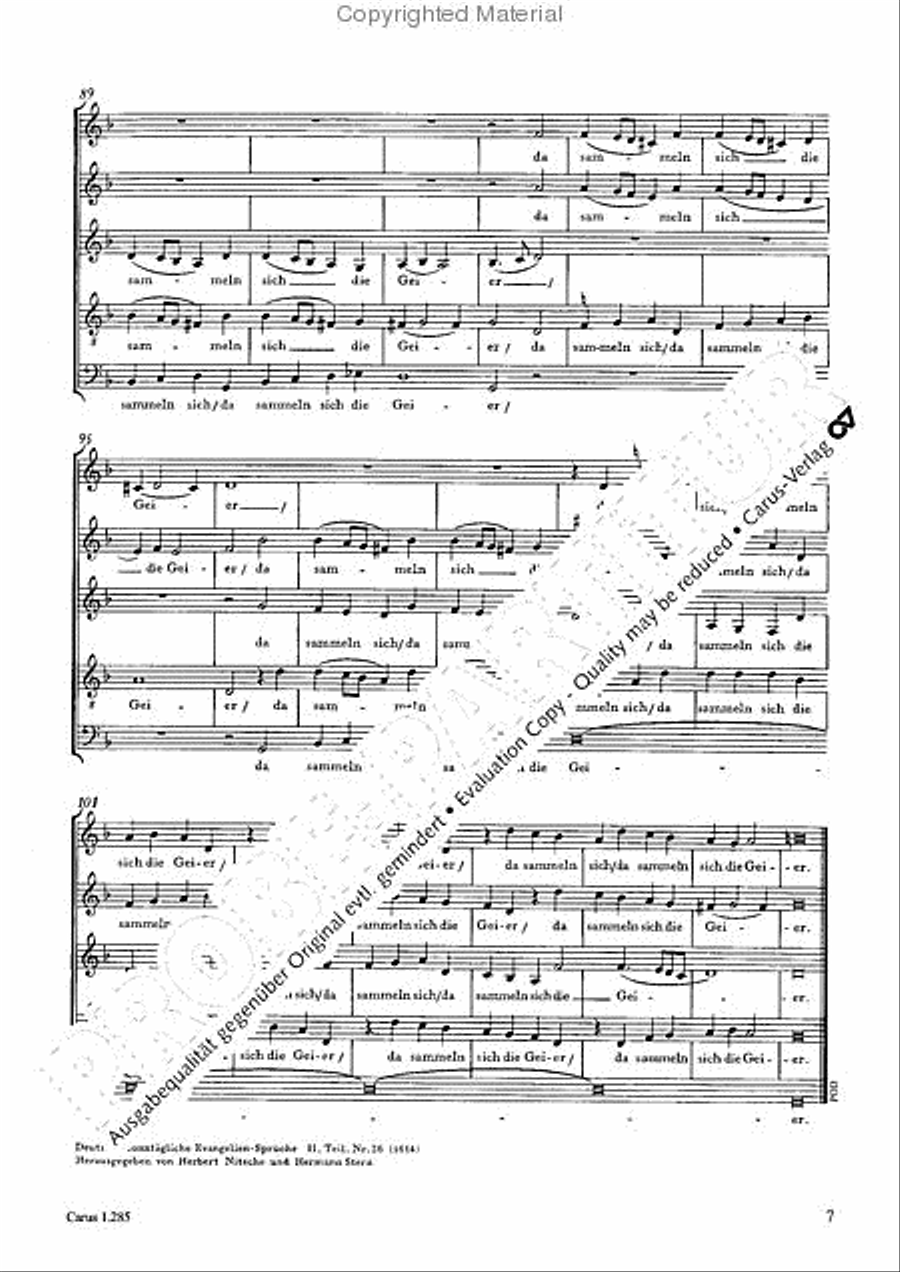 Gleichwie der Blitz SSATB scores gallery preview page 8