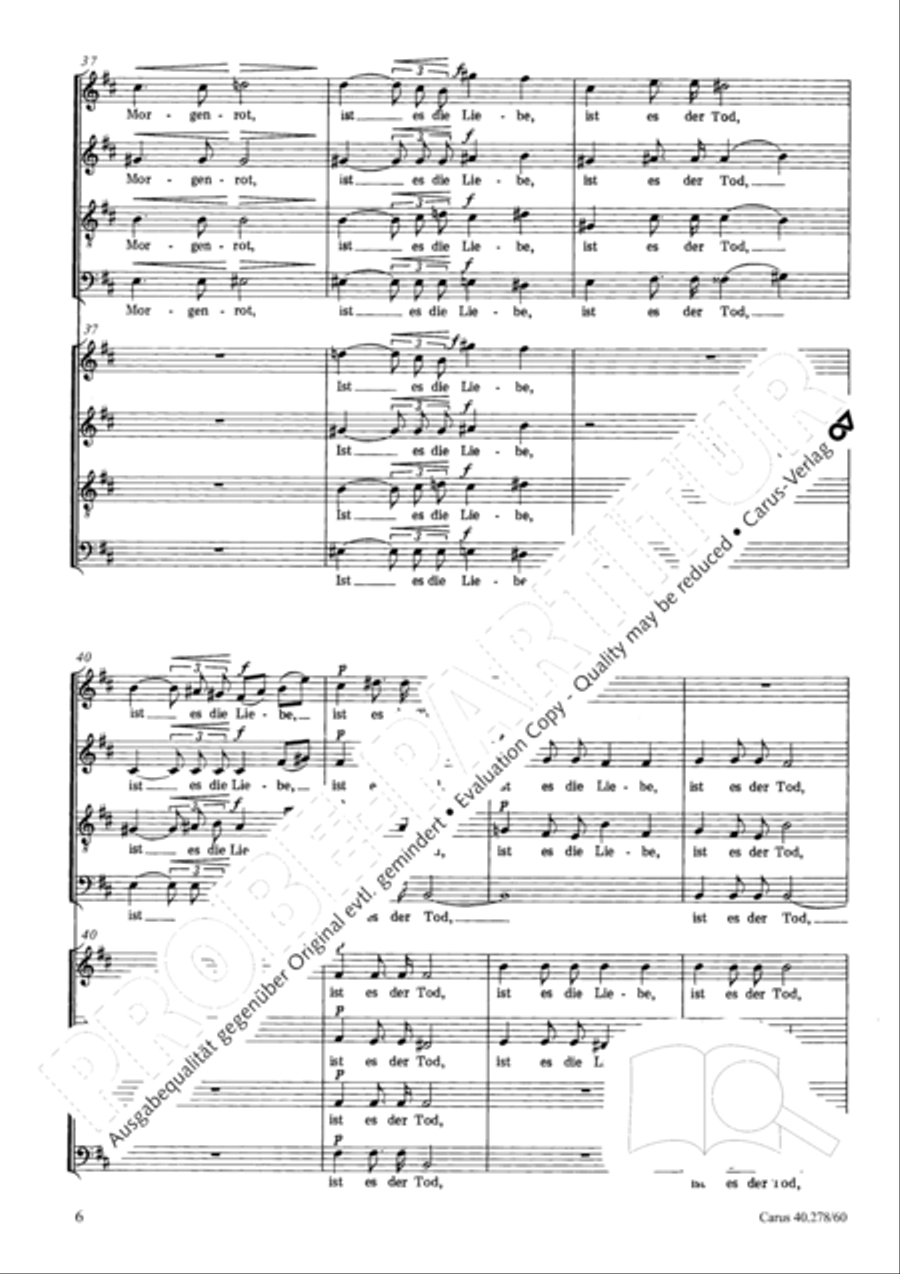 Ungewisses Licht Ungewisses Licht 4-Part scores gallery preview page 7