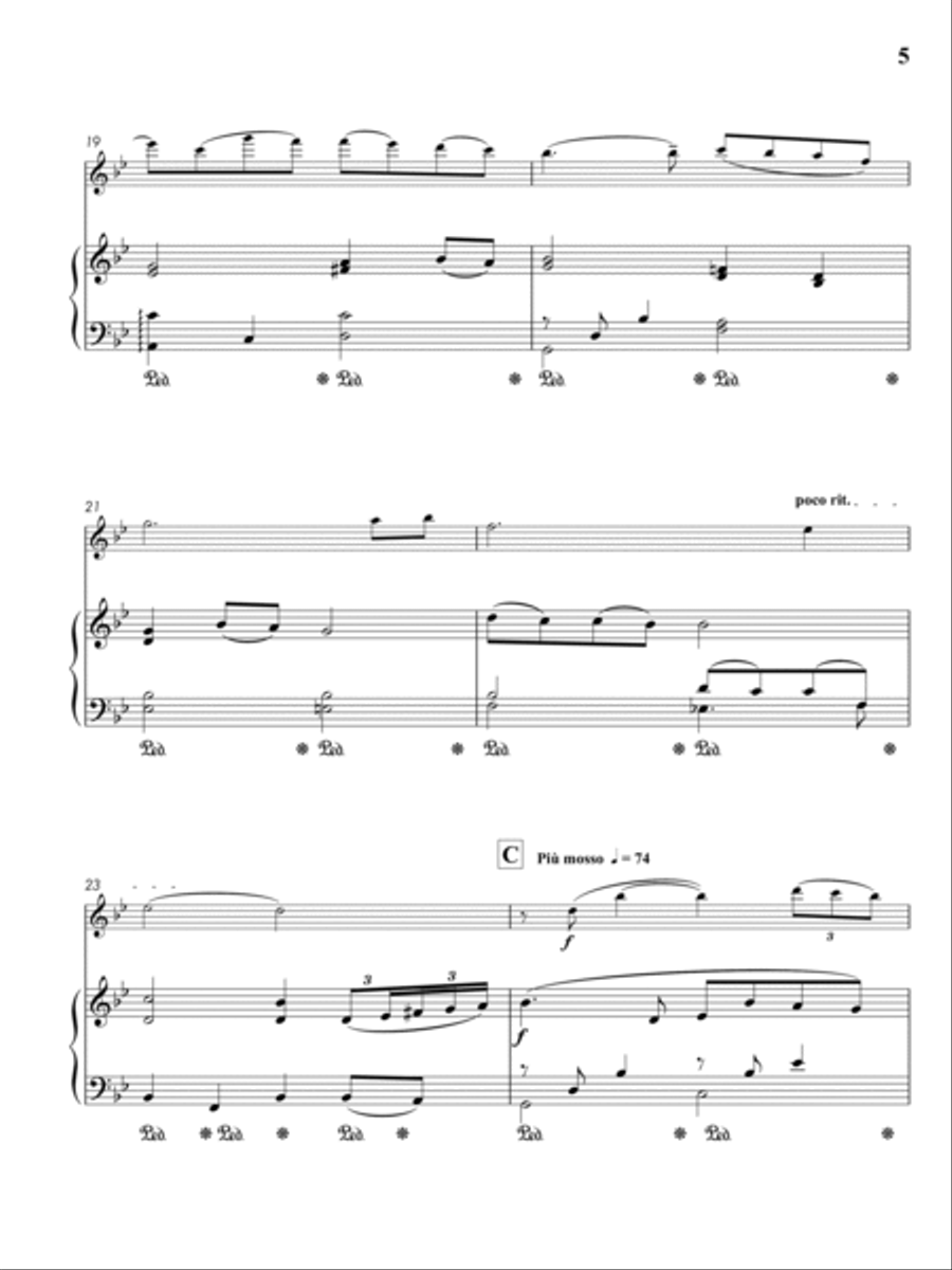 Cinema Paradiso - Love Theme from 'Cinema Paradiso' (for Flute and Piano accompaniment) image number null