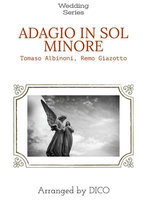 Adagio Per Archi E Organo In Sol Minore
