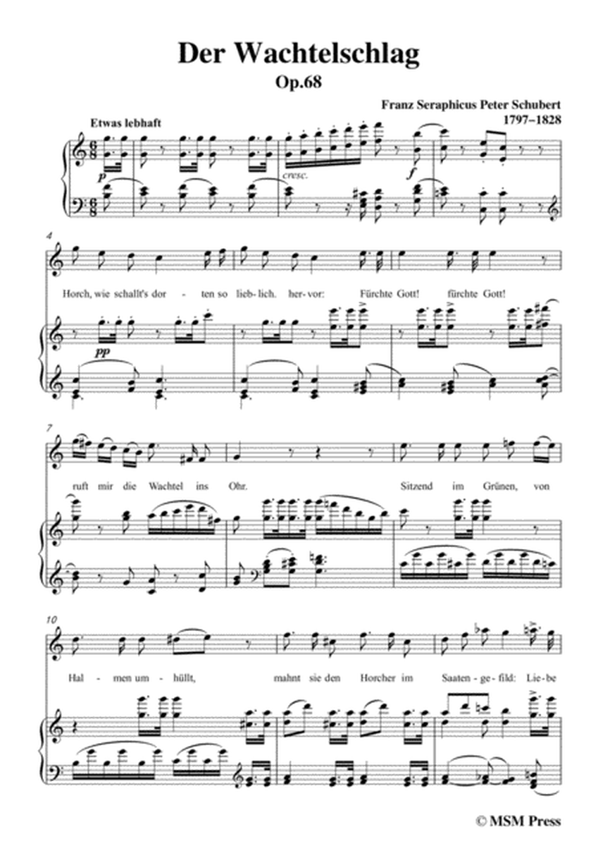Schubert-Der Wachtelschlag,Op.68,in C Major,for Voice&Piano image number null